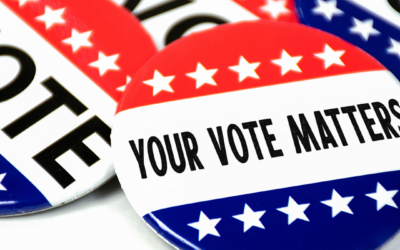 Local Election Information