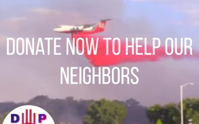 Donate Now to Help Our Neighbors