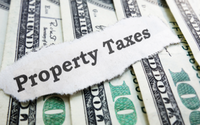 Response from the State Auditor’s Office & Call to Continued Action re. Property Tax Chaos